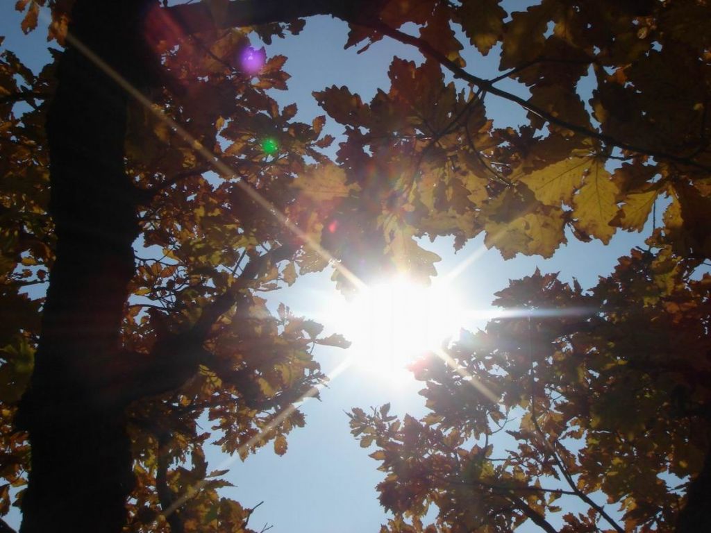 DSC09645.JPG