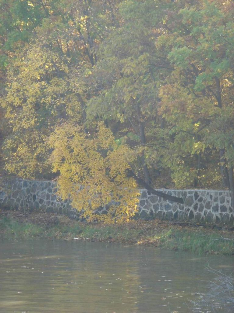 DSC09649.JPG