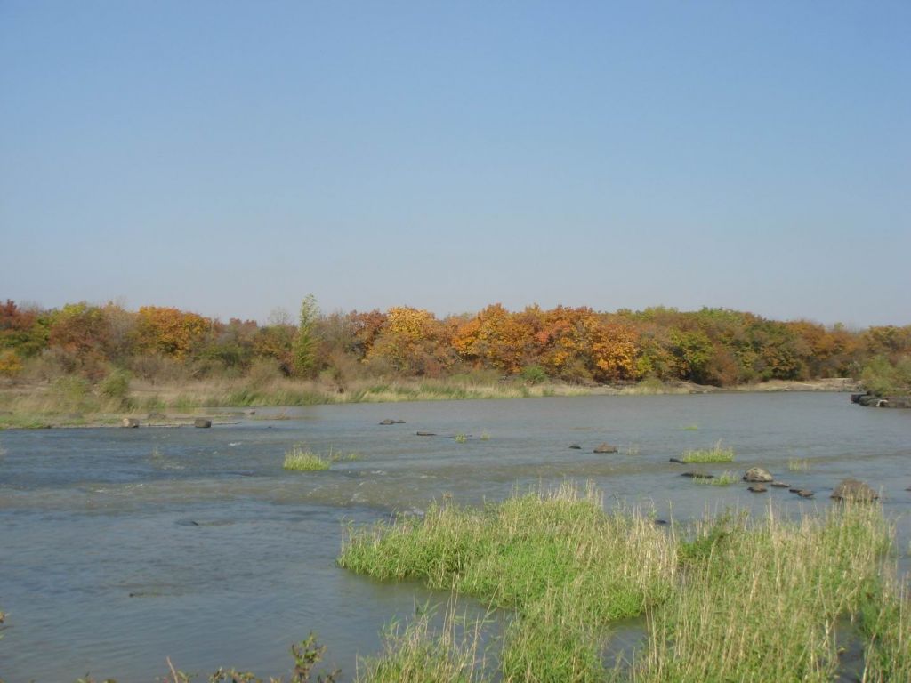 DSC09687.JPG