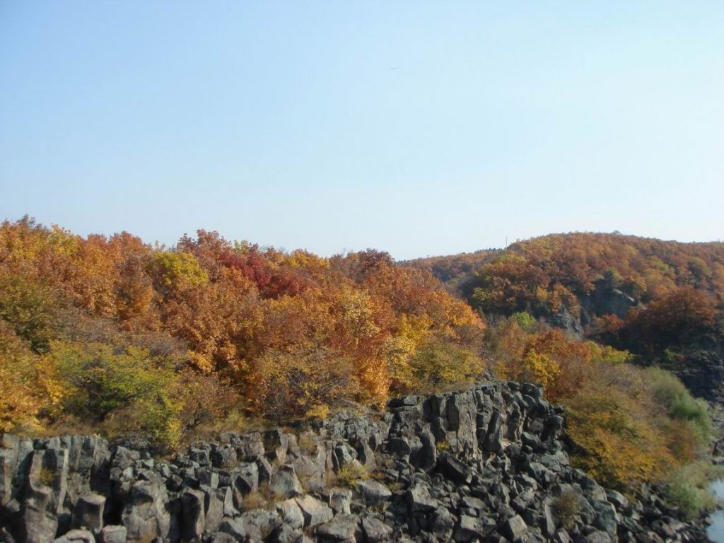DSC09698.JPG