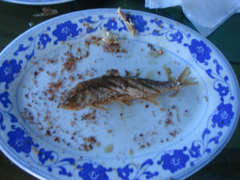 DSC09825.JPG