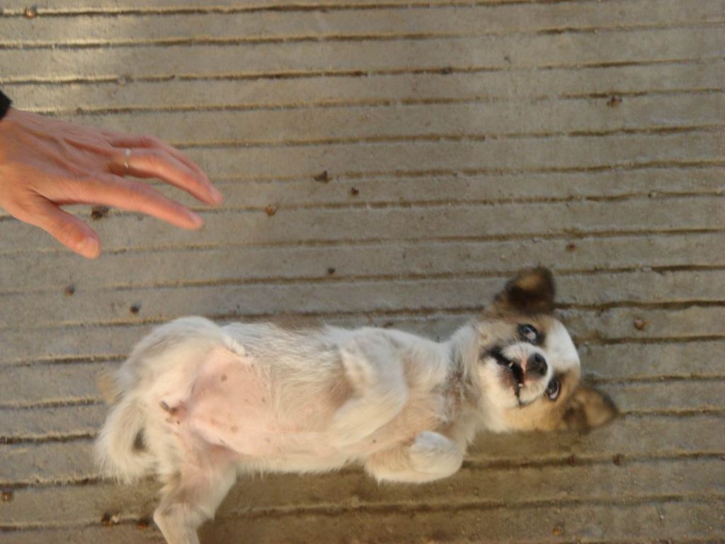DSC09837.JPG