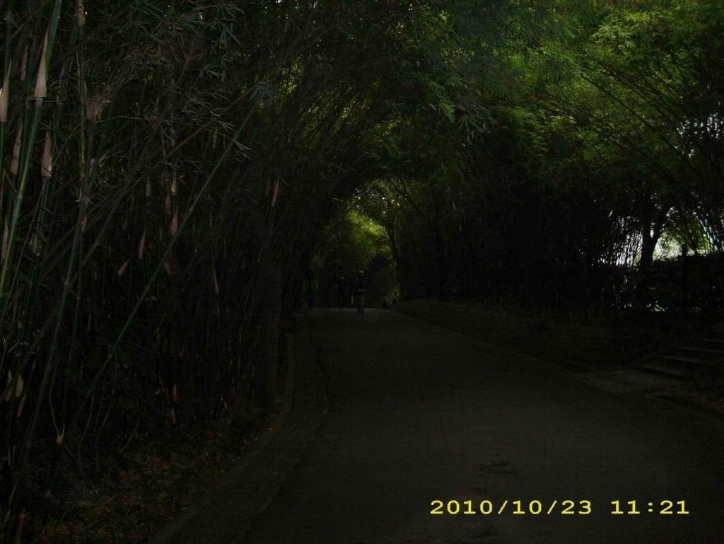 ������С ������С ������С ������С ������С ������С DSCI0071.JPG