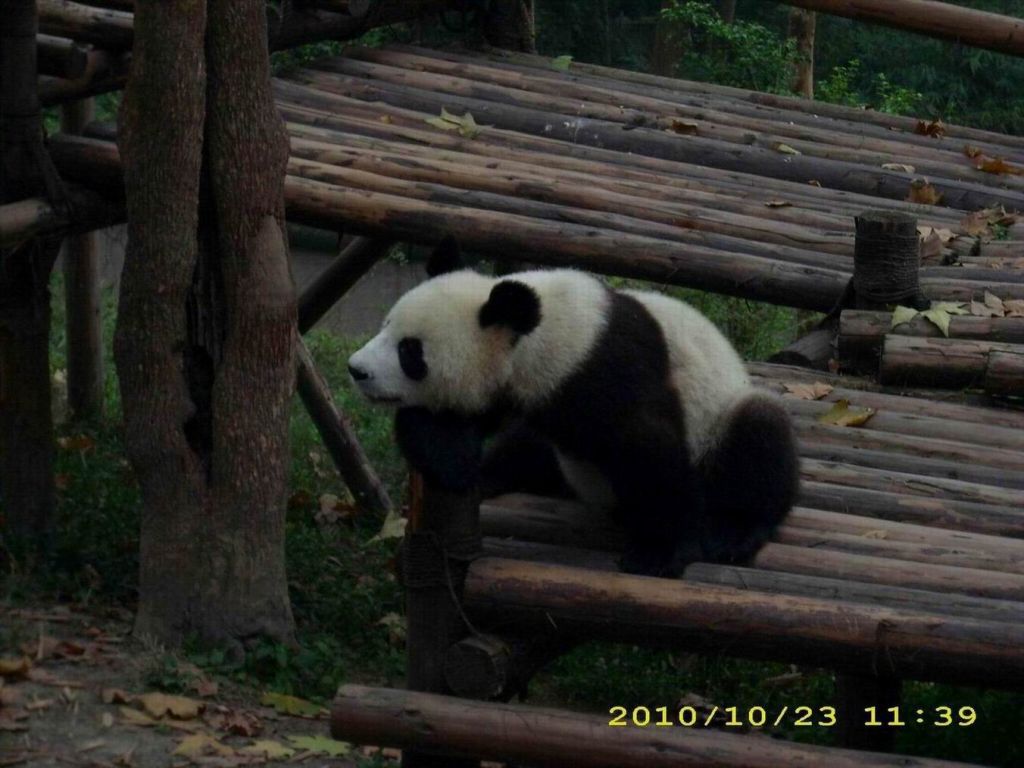 ������С ������С ������С ������С ������С ������С ������С ������С DSCI0083.JPG