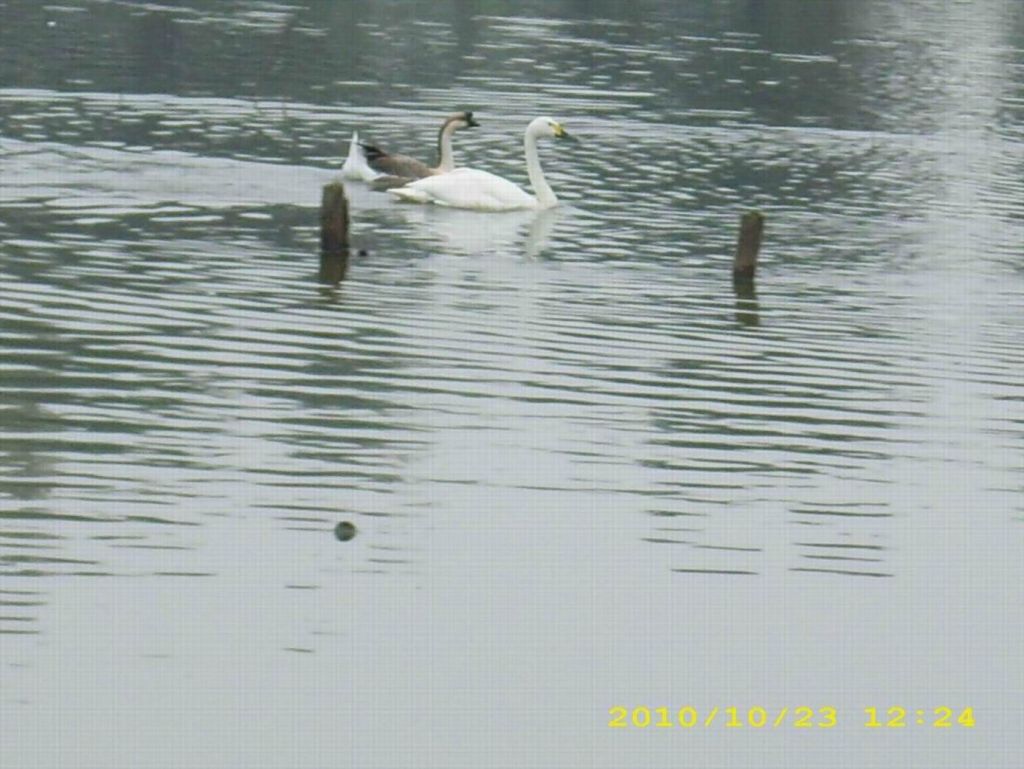 ������С ������С ������С ������С ������С ������С DSCI0094.JPG