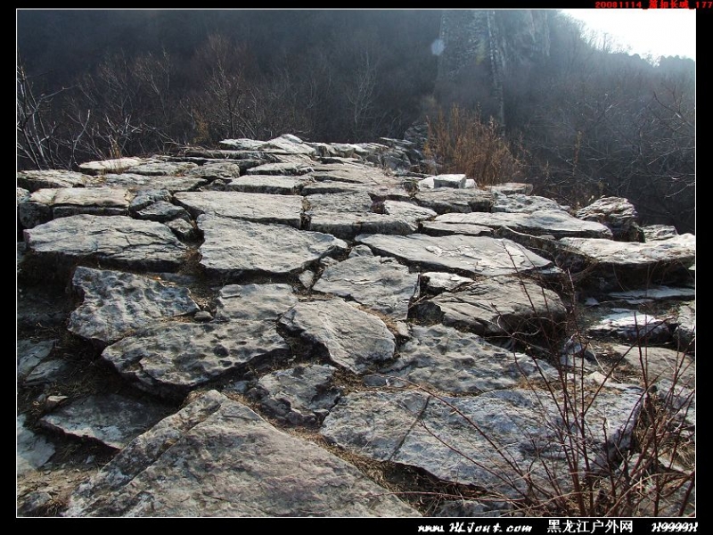 20081114_���۳���_177.jpg
