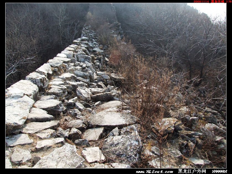 20081114_���۳���_178.jpg
