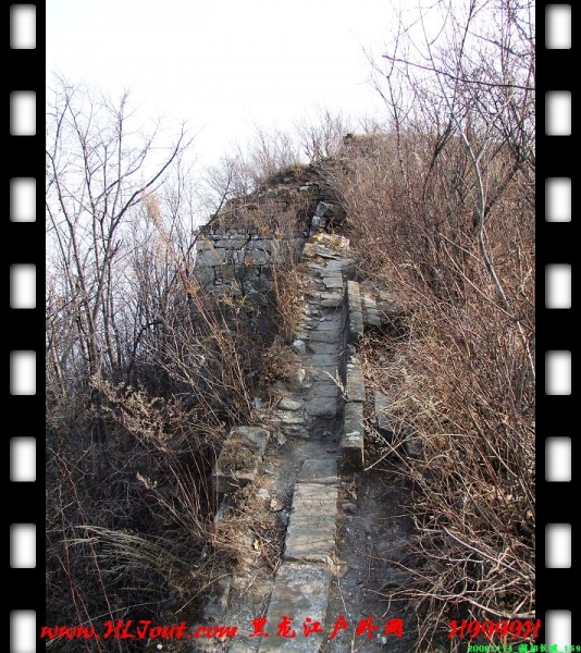20081114_���۳���_169.jpg