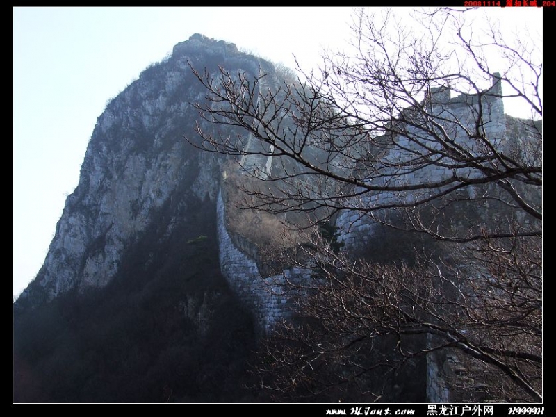 20081114_���۳���_204.jpg
