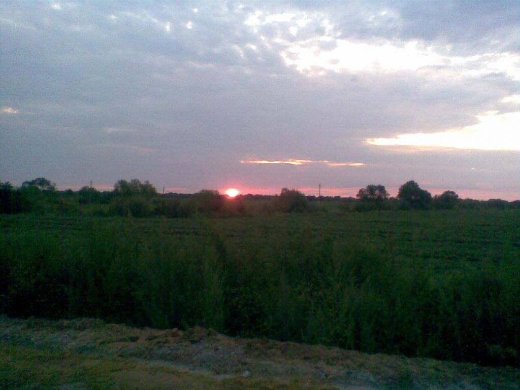 ������̫��