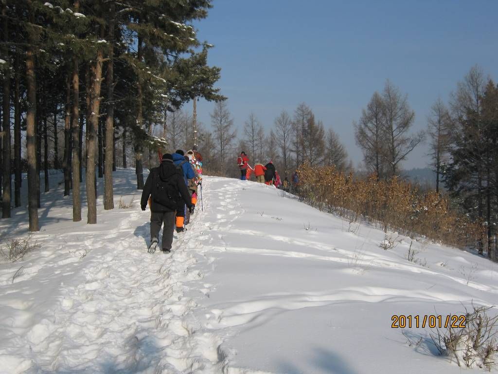 IMG_0976.jpg