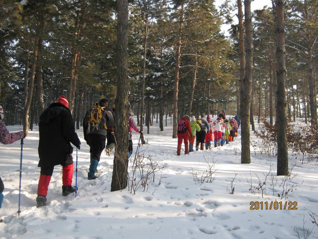 IMG_0966.jpg