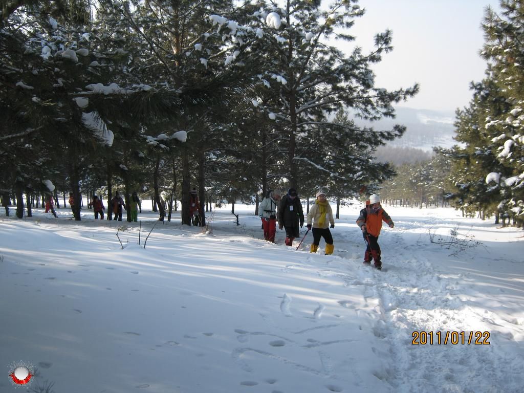 IMG_1038.jpg