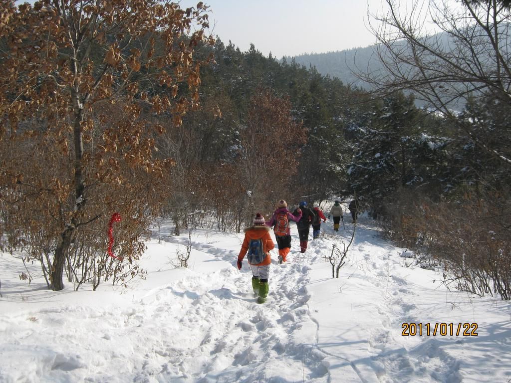 IMG_1067.jpg