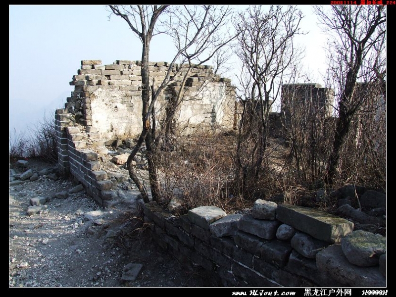 20081114_���۳���_224.jpg