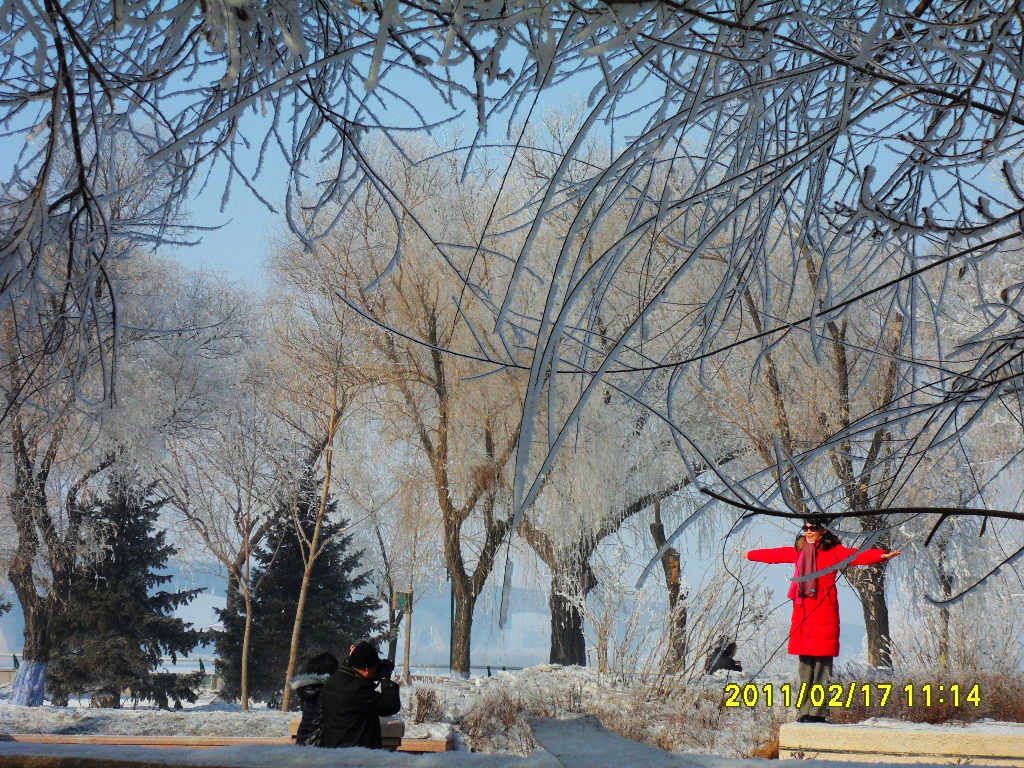 SDC16389.jpg