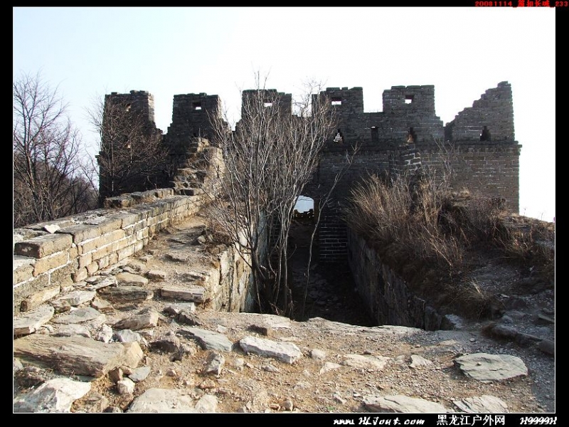 20081114_���۳���_233.jpg