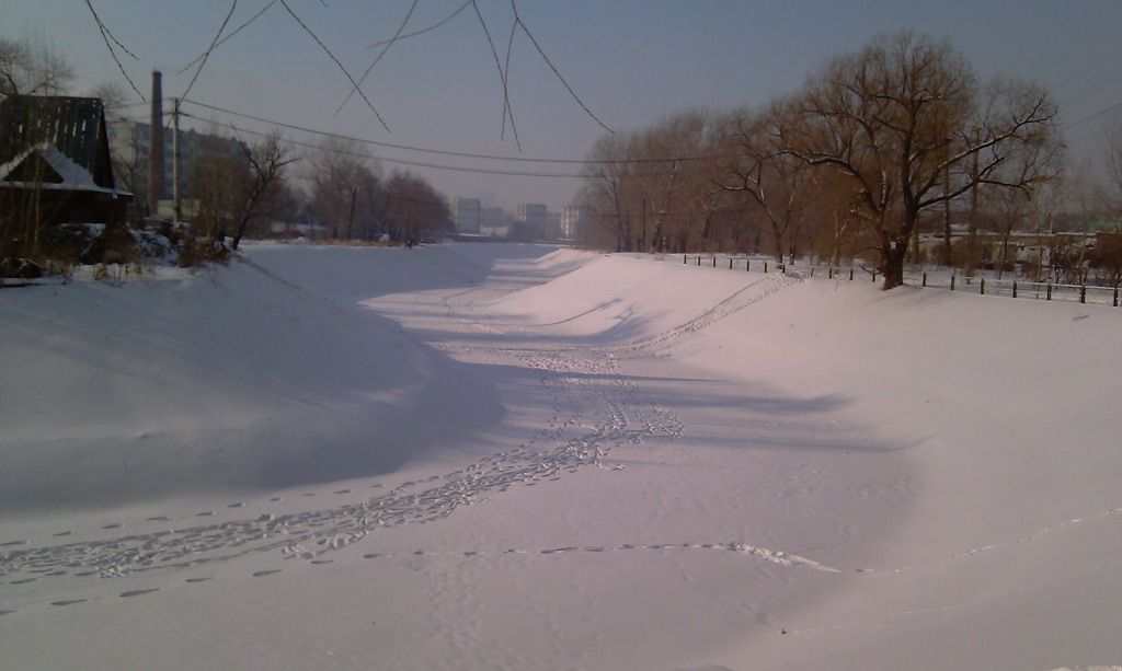 IMAG0012.jpg