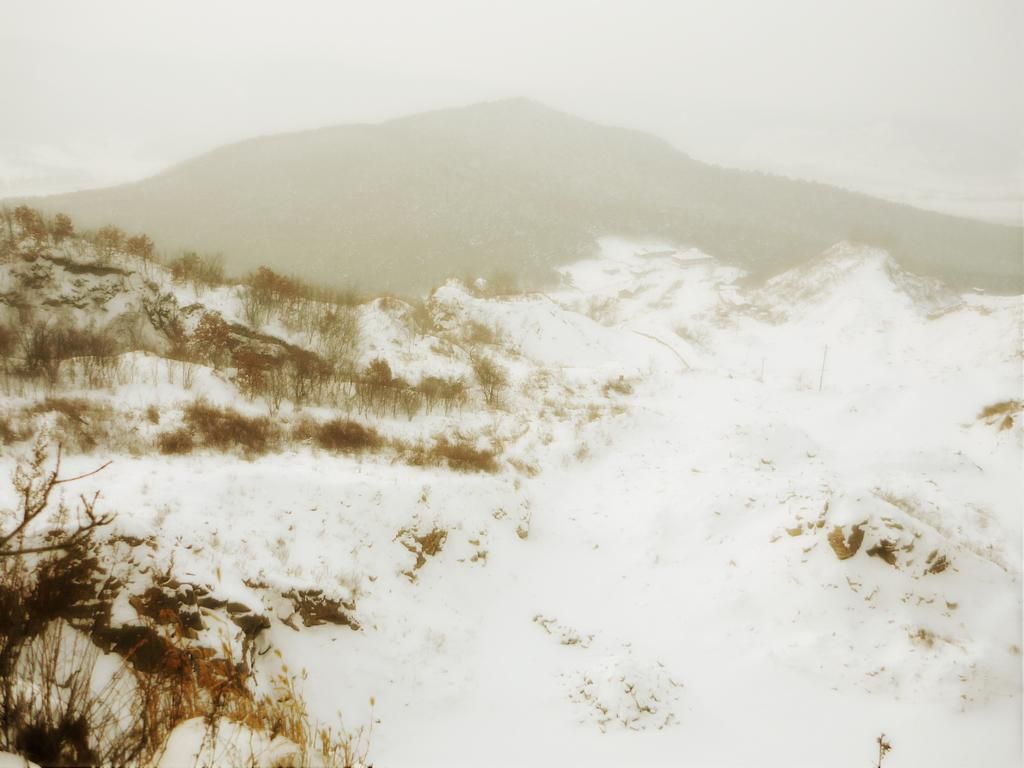 P1010114f.jpg