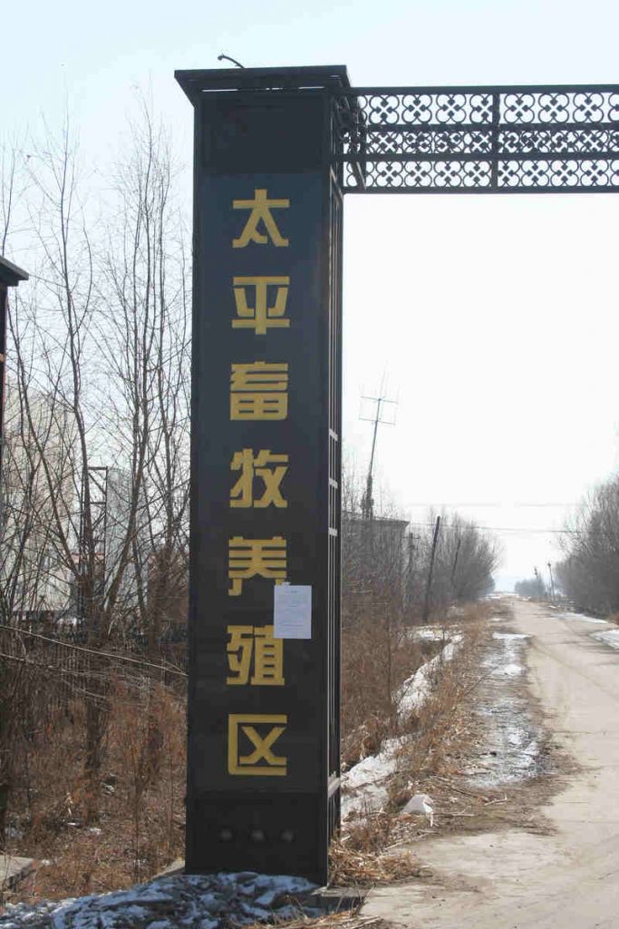 46.jpg