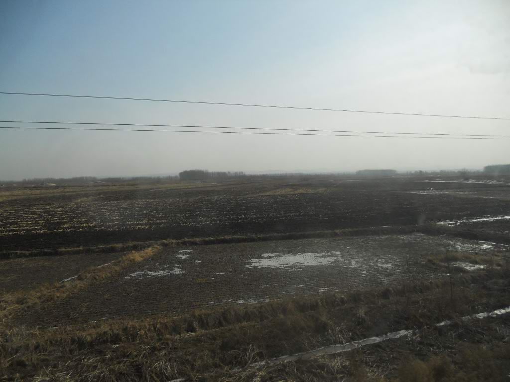 ��Ȫ 009.jpg