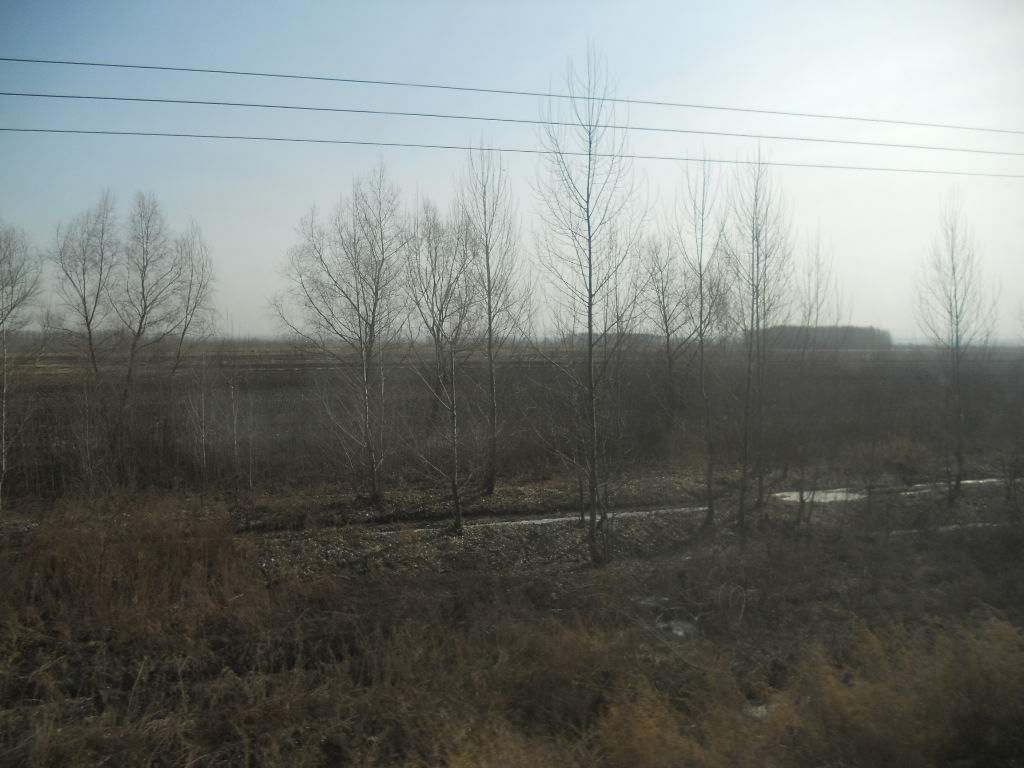 ��Ȫ 010.jpg