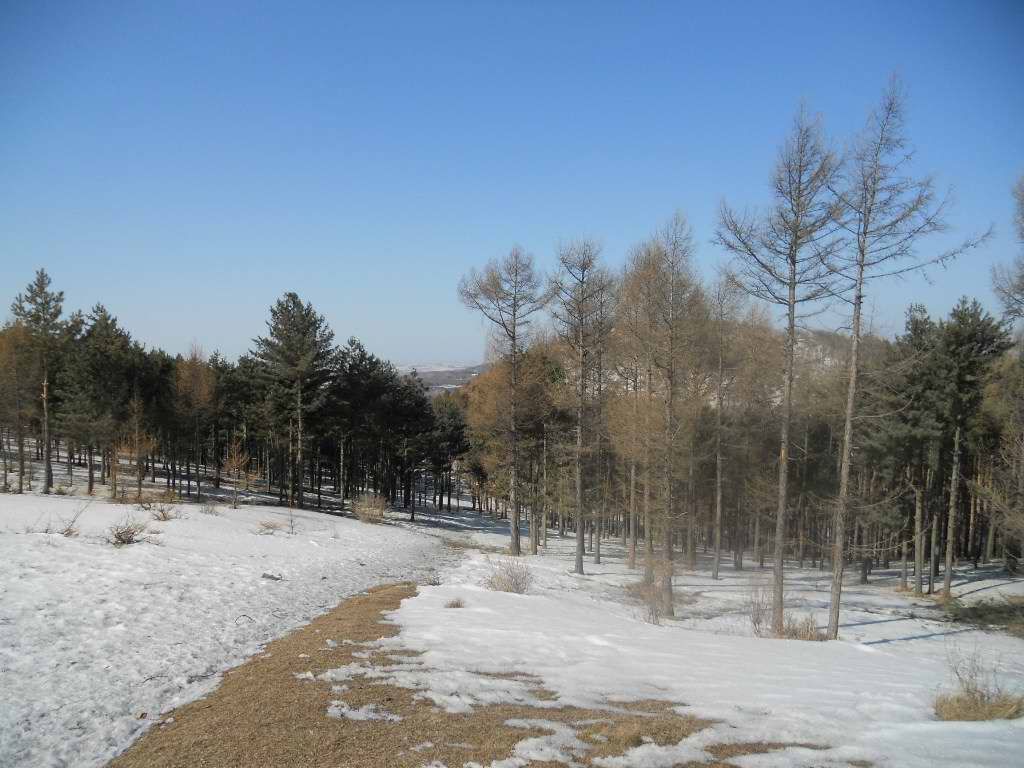 ��Ȫ 044.jpg