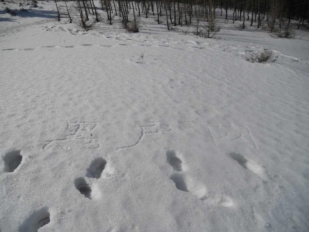 ��Ȫ 050.jpg