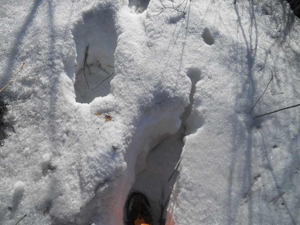 ��Ȫ 064.jpg