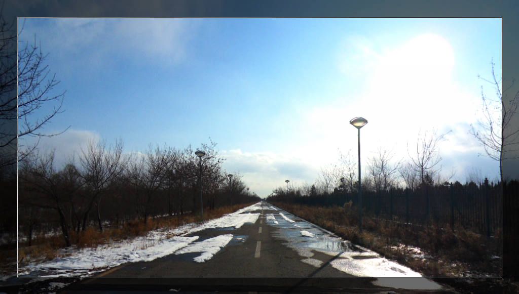 SDC16472.jpg
