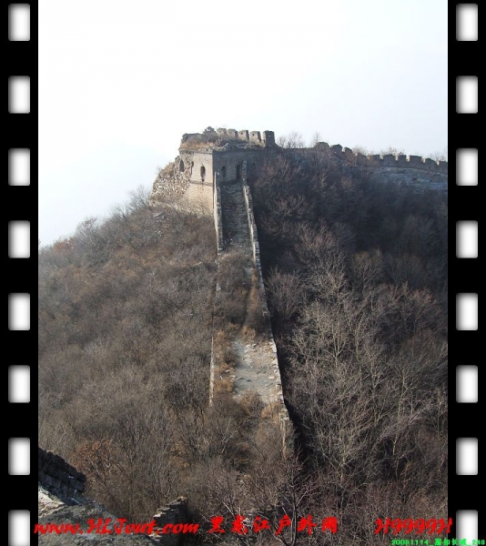 20081114_���۳���_248.jpg