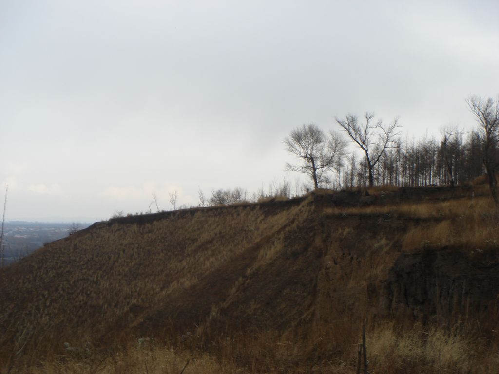 DSC00460.JPG