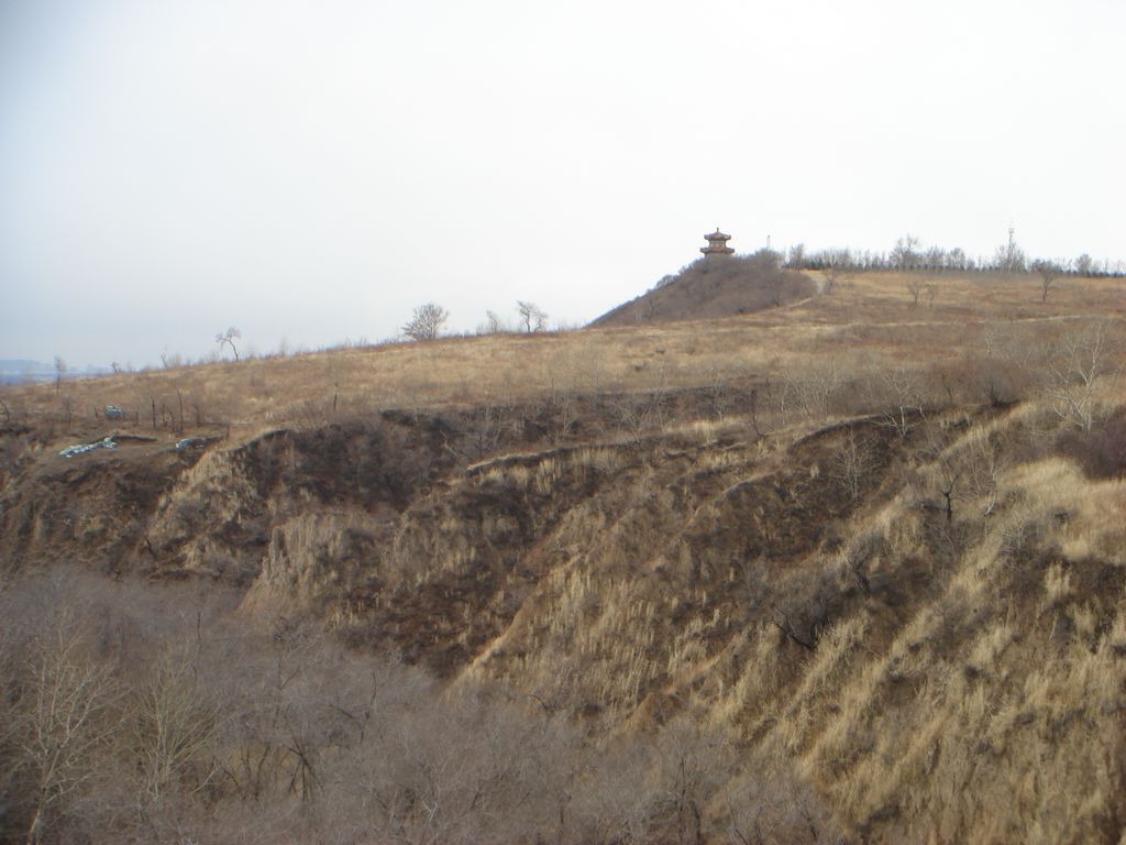 DSC00529.JPG