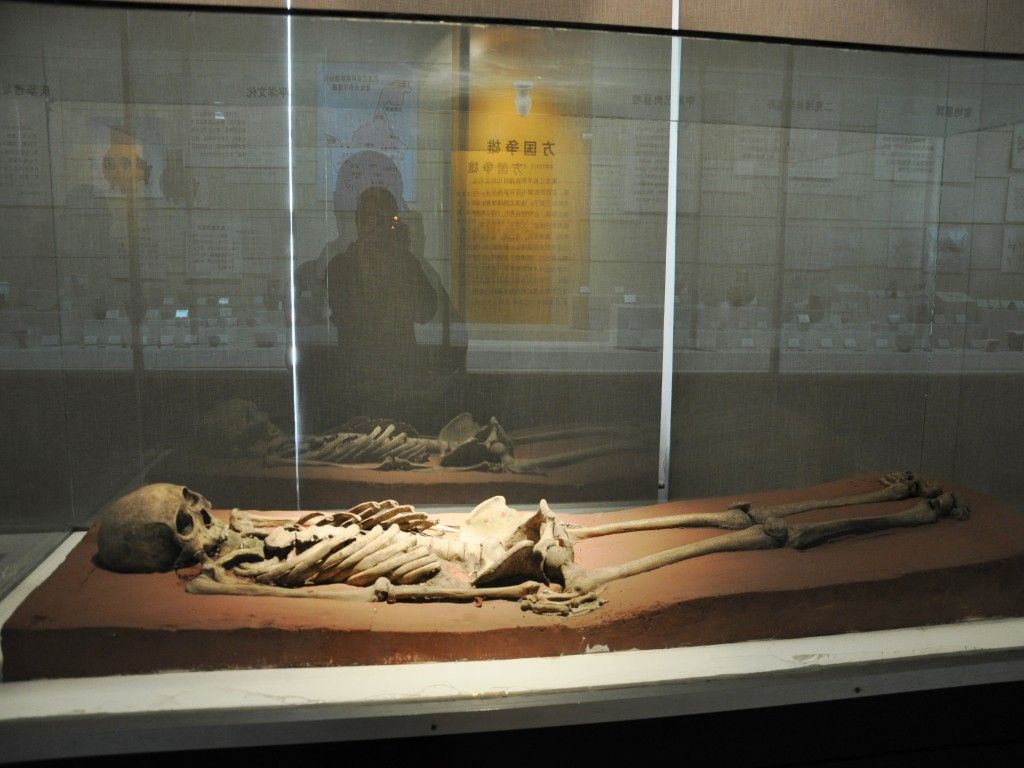 DSC_0049_conew1.jpg