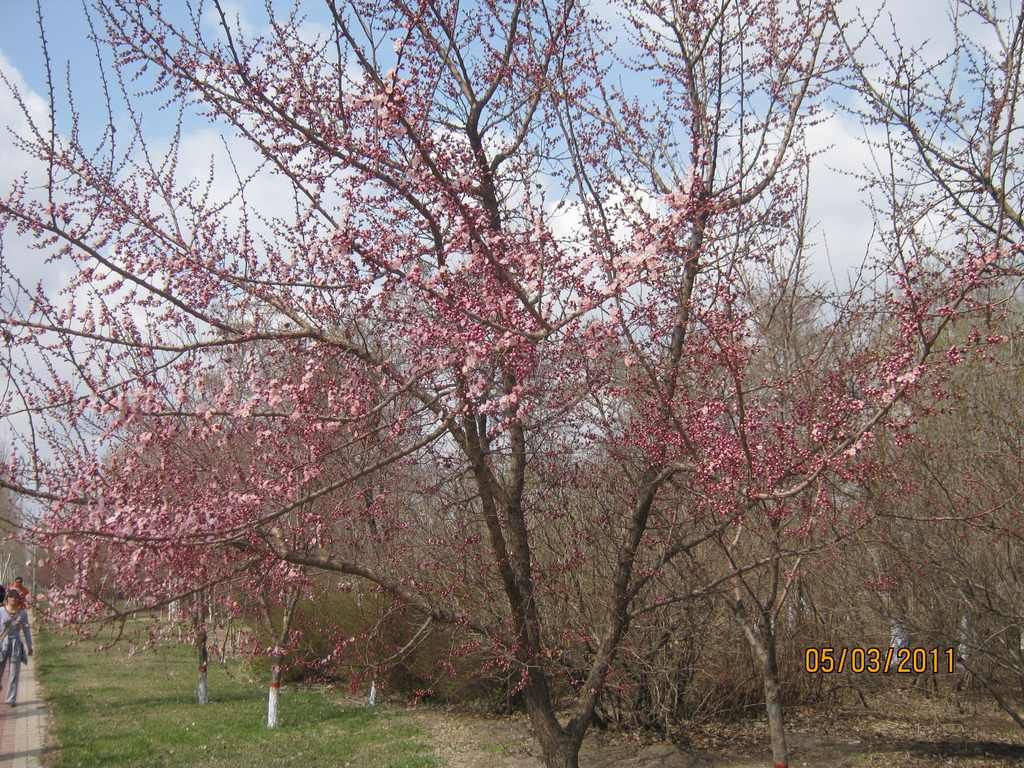 IMG_3279.jpg