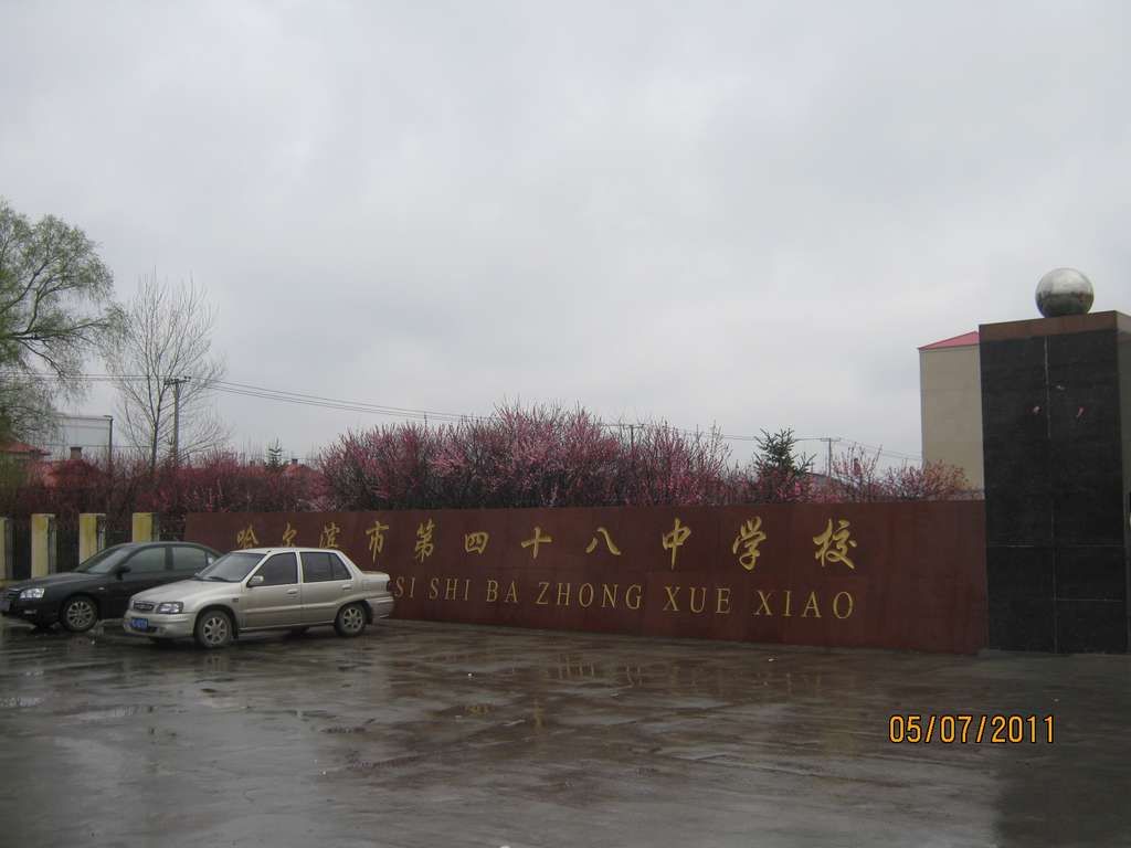 IMG_3390.jpg