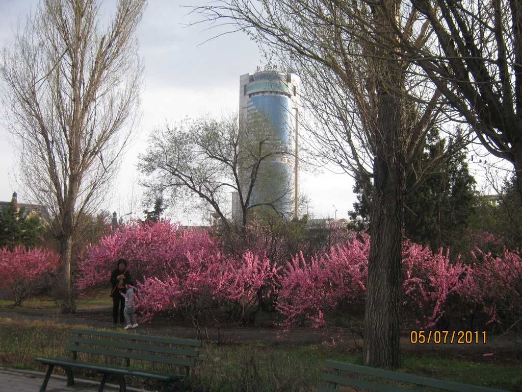 IMG_3542.jpg
