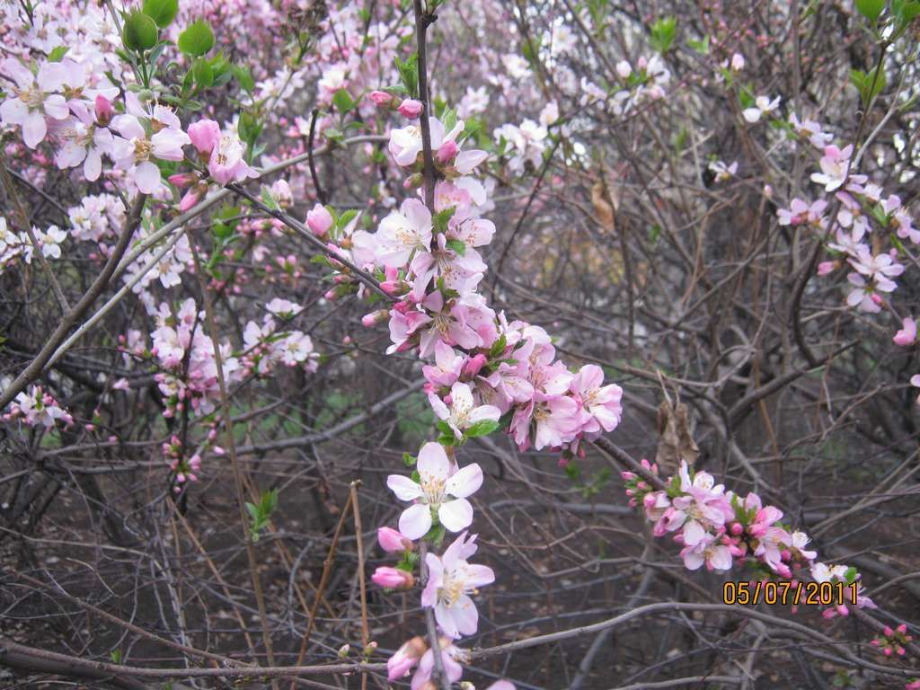 IMG_3550.jpg