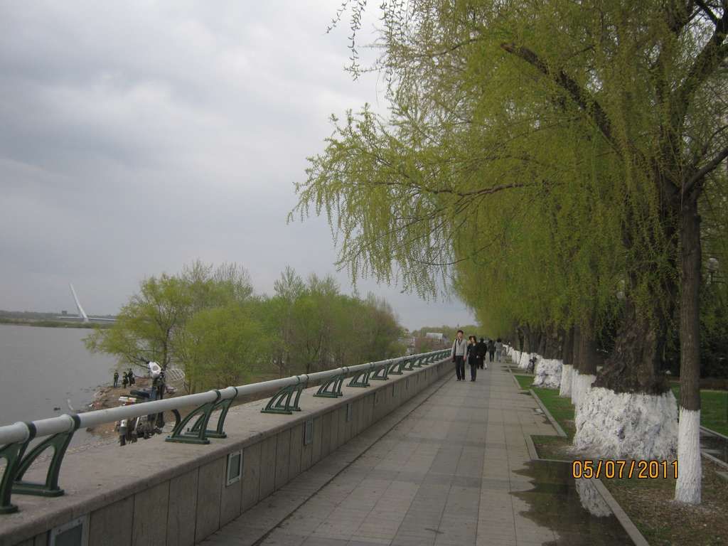 IMG_3553.jpg