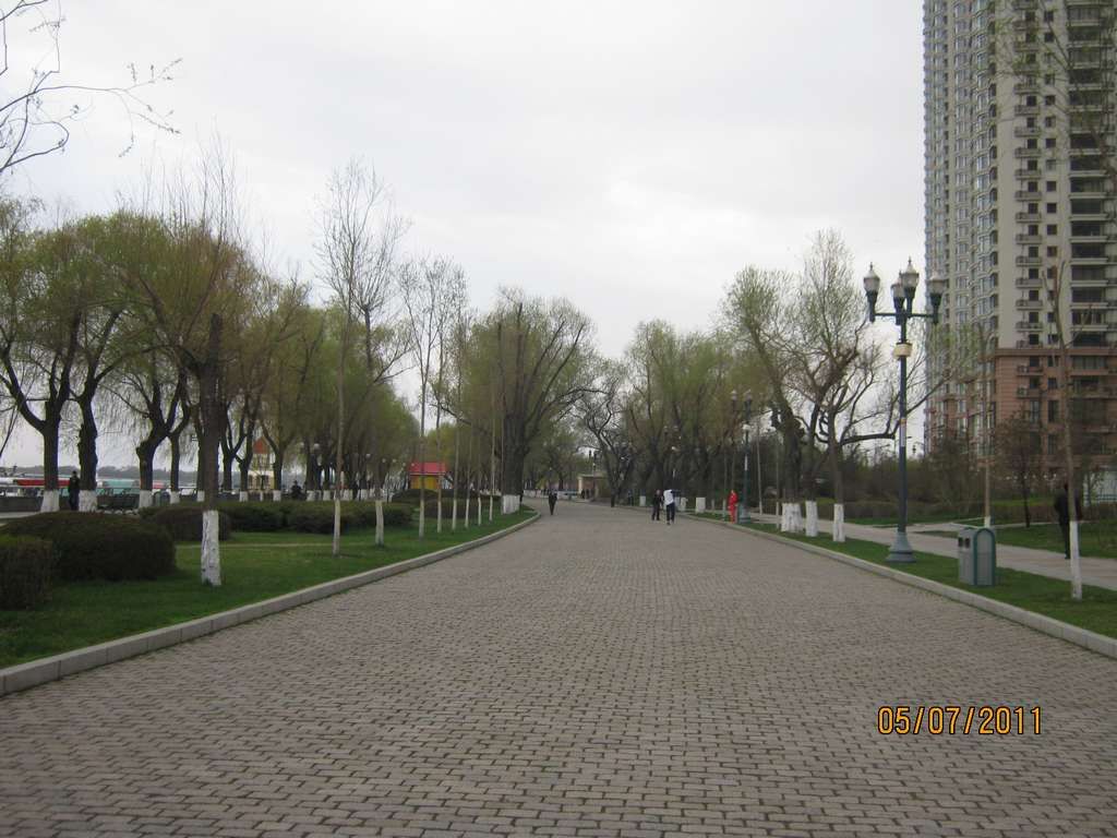 IMG_3568.jpg