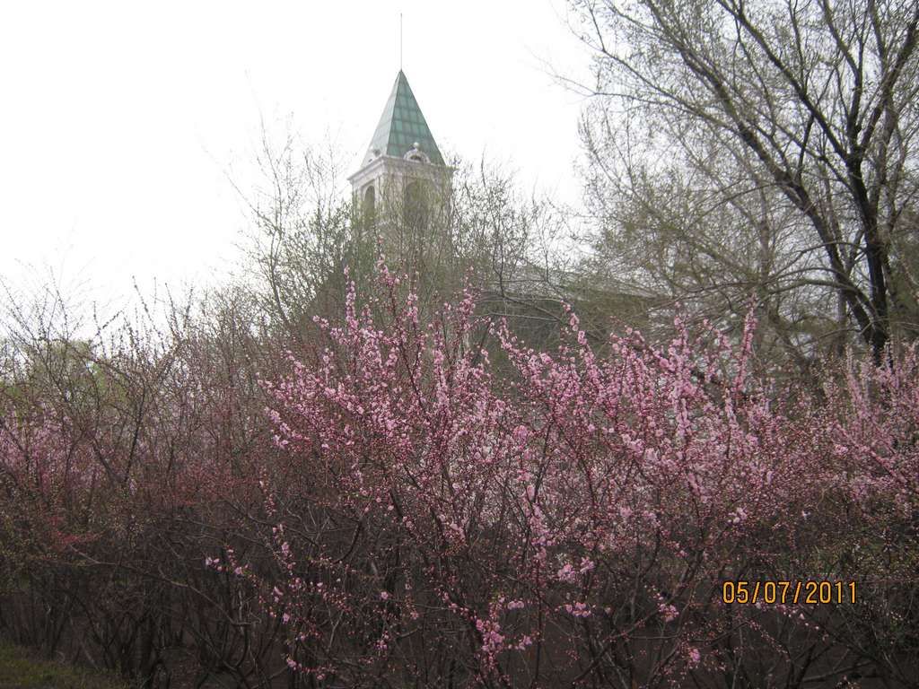 IMG_3571.jpg