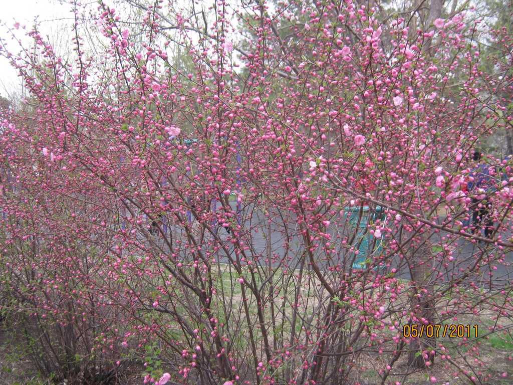 IMG_3573.jpg
