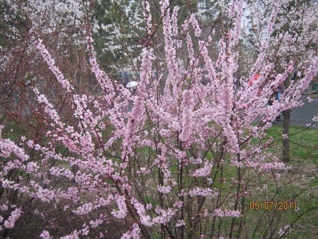 IMG_3579.jpg