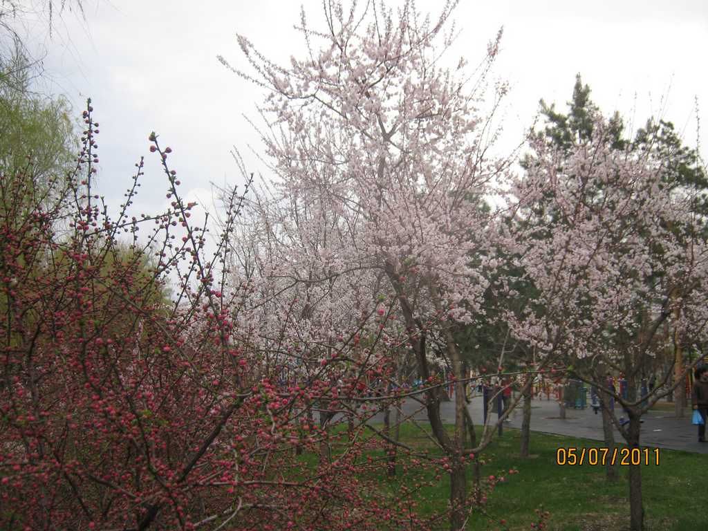 IMG_3578.jpg
