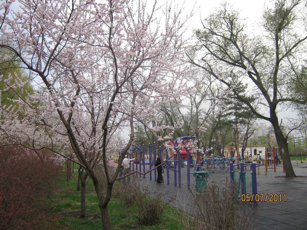IMG_3581.jpg