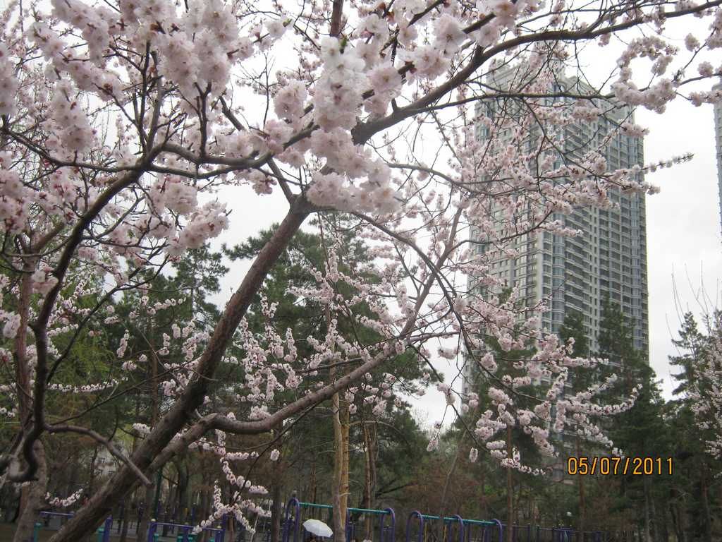 IMG_3582.jpg
