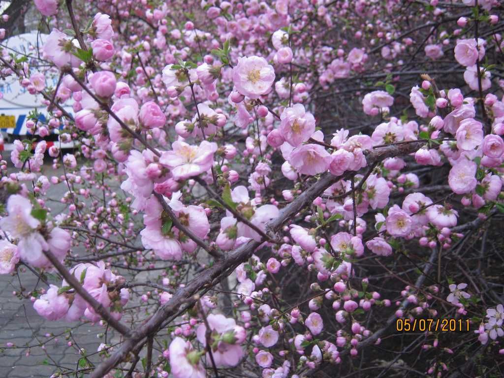 IMG_3602.jpg