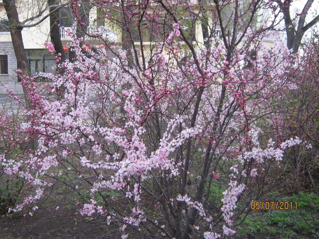 IMG_3591.jpg