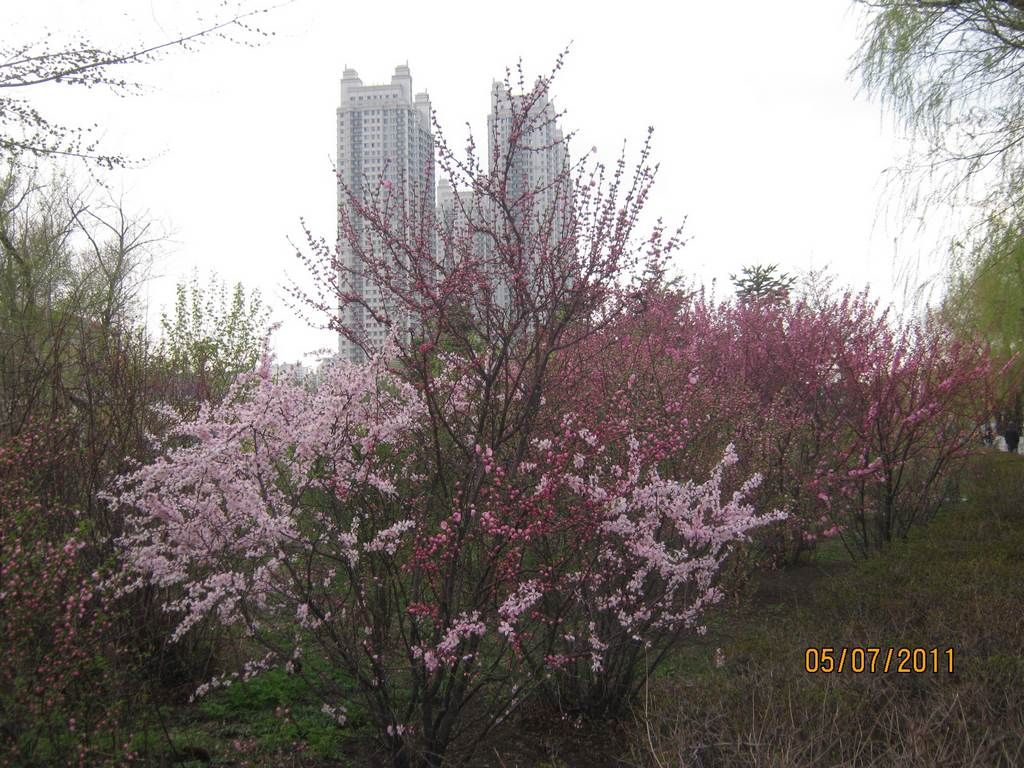 IMG_3592.jpg