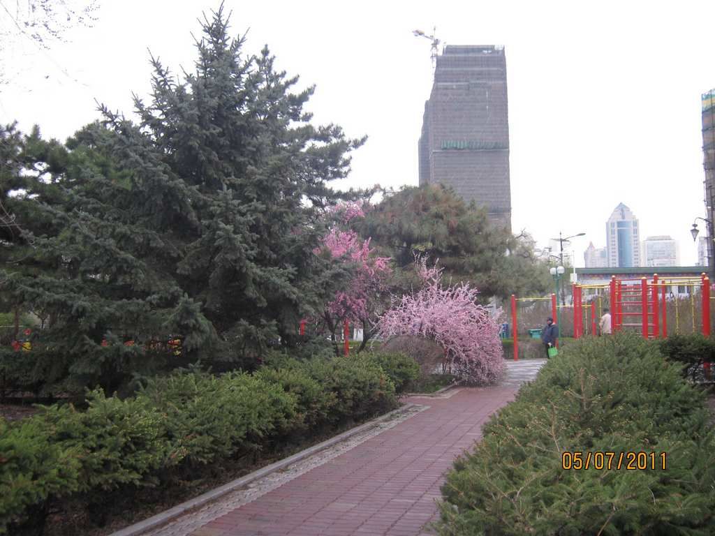 IMG_3606.jpg